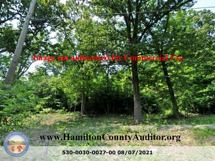 Photo 08/07/2021